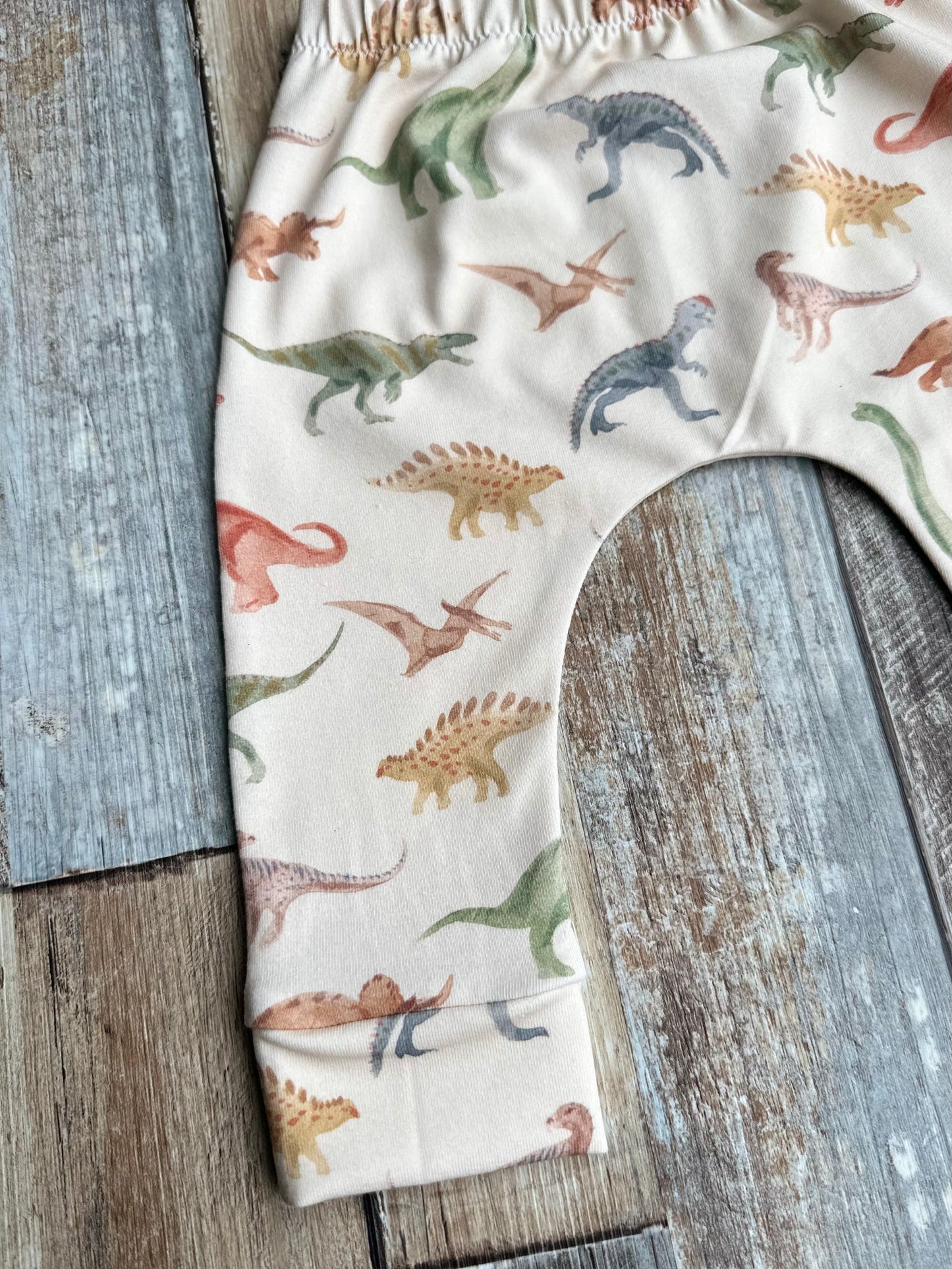Dinosaur Leggings